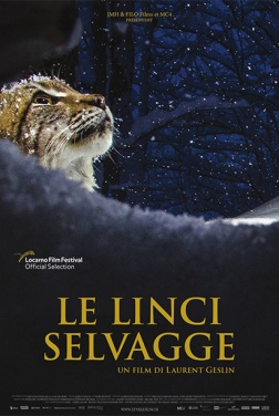 Le linci selvagge  (2024)